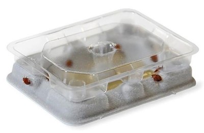 TRAMPA NOVAR PARA CHINCES EASYBUG (2 UDS.)