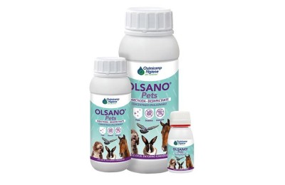 INSECTICIDA ENTORNO PERROS...