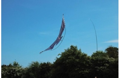 HALCON COMETA AHUYENTA PAJAROS BIKAIN