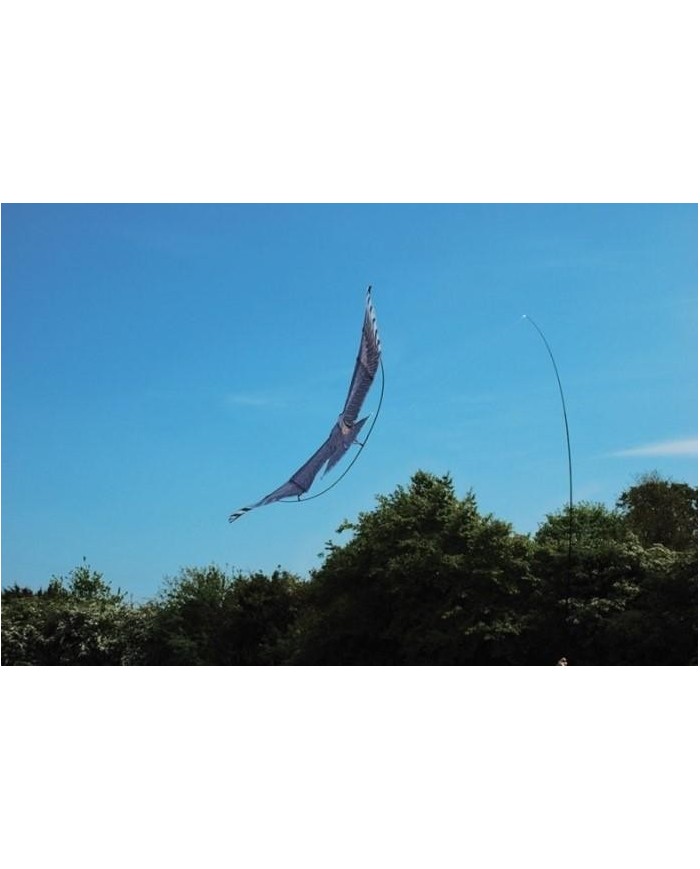 HALCON COMETA AHUYENTA PAJAROS BIKAIN