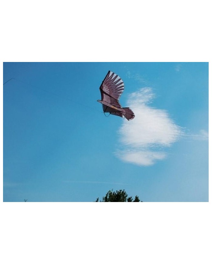 HALCON COMETA AHUYENTA PAJAROS BIKAIN