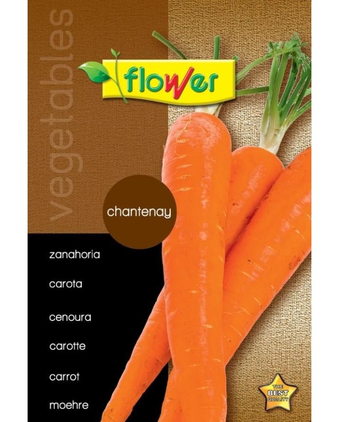 SOBRE SEMILLAS FLOWER ZANAHORIA CHANTENAY