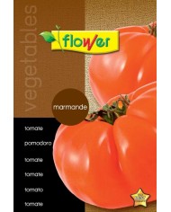 SOBRE SEMILLAS FLOWER TOMATE RED CHERRY