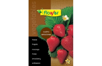 SOBRE SEMILLAS FLOWER FRESAS CUATRO ESTACIONES
