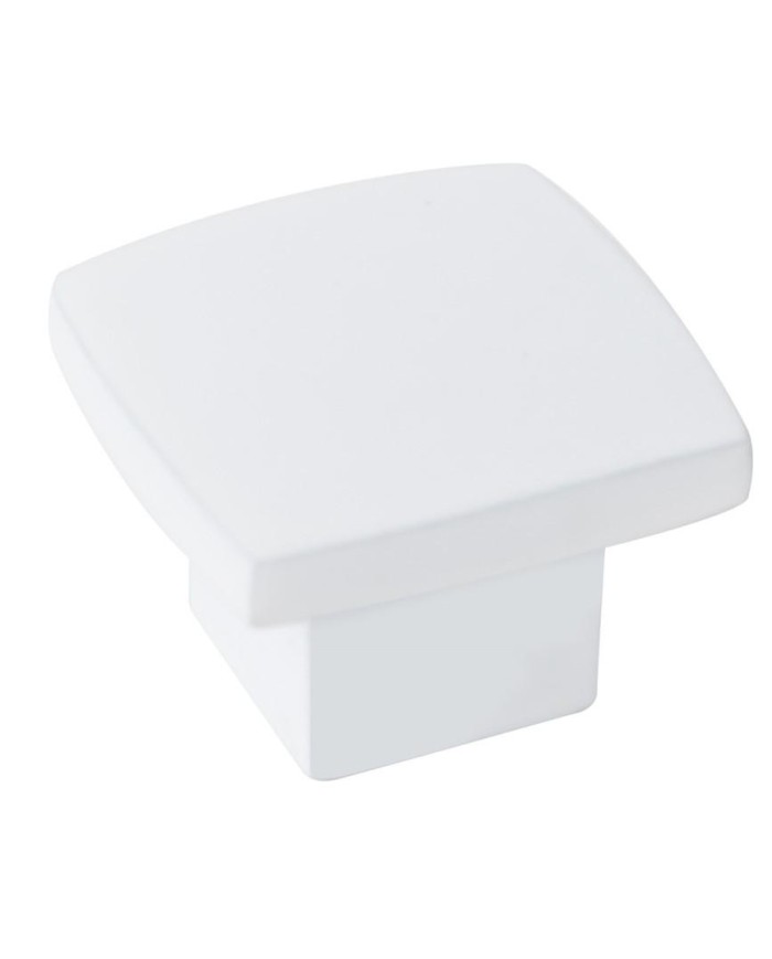 POMO NESU PINTURA BLANCA MATE 25X25 MM. 28721