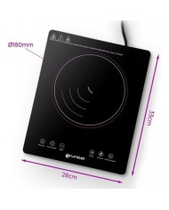 PLACA DE INDUCCION GRUNKEL 2000W.