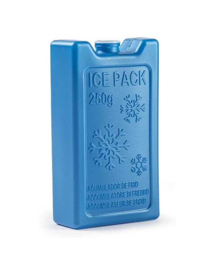 ACUMULADOR DE FRIO PLASTICFORTE 250GRS.