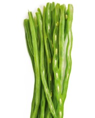 CORTADOR/PELADOR DE JUDIDAS IBILI 13CMS.