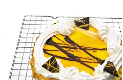 REJILLA ENFRIATARTAS IBILI 25X40 CMS.