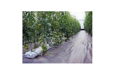 MALLA ANTIHIERBA 1'5X100MTS. ROLLO 150 MTS.