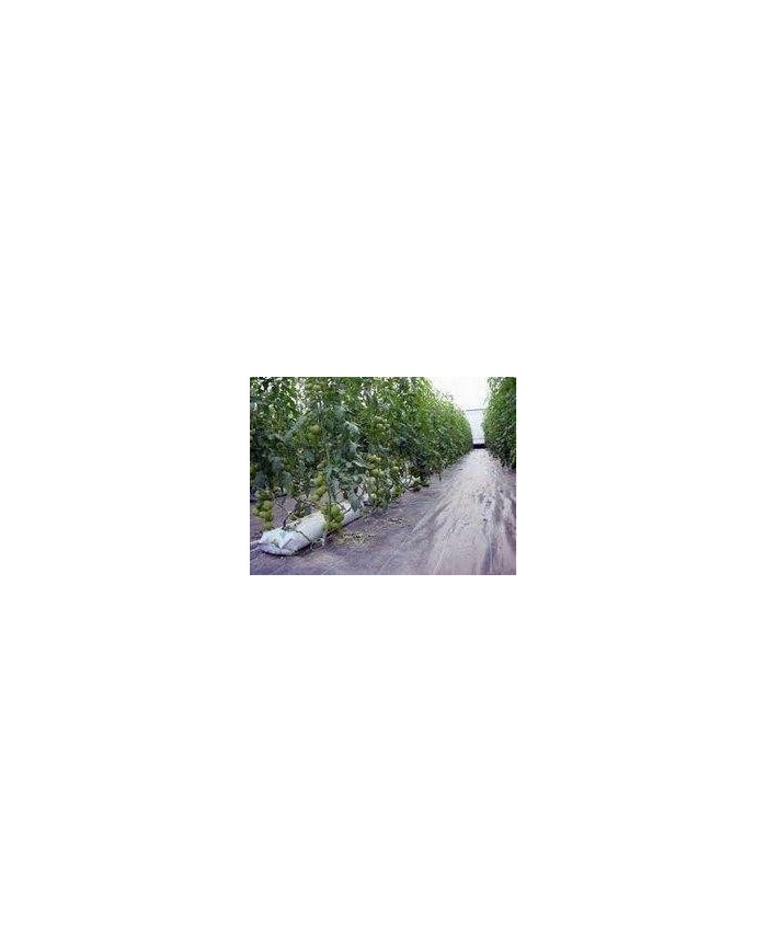 MALLA ANTIHIERBA 1'5X100MTS. ROLLO 150 MTS.