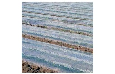 PLASTICO TRANSPARENTE 4MTS. 600G. 50KG. APRX. L/84M