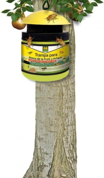 TRAMPA MASSO PARA MOSCA FRUTA Y AVISPAS