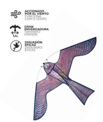 HALCON BIKAIN COMETA AHUYENTA PAJAROS